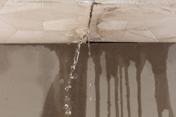 Professional Structural Drying technician working in Guntown, MS